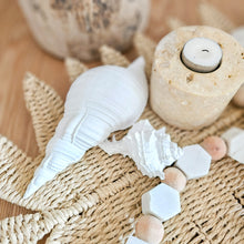 Seashell resin white