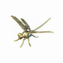 Brass dragonfly home decor. Coffee table decor for coastal boho boheme home aesthetic. Casted from Brass. Style your home with stunning Brass accents while bringing a fun playful touch to your finishing touches 