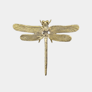 Brass dragonfly home decor. Coffee table decor for coastal boho boheme home aesthetic. Casted from Brass. Style your home with stunning Brass accents while bringing a fun playful touch to your finishing touches 