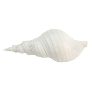 Snail Shell Resin White